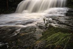 cascade 014