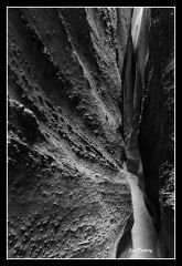 Peek A Boo   Spooky (193bw)