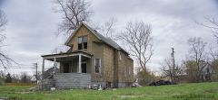'Darlene' - Detroit