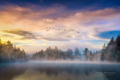 Foggy morning