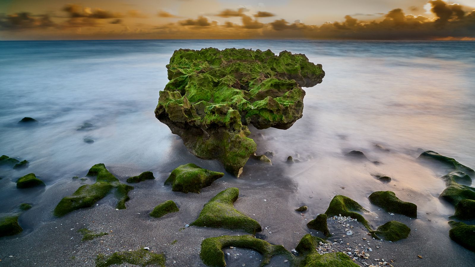 Coral Cove Park Jupiter Florida