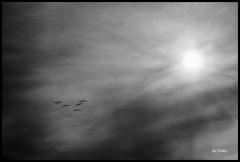 Heirman Wildlife Preserve (34)a
