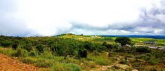 Bokor Mountain