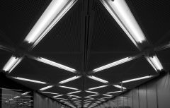 Abstract NY
