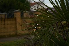 DSC04675