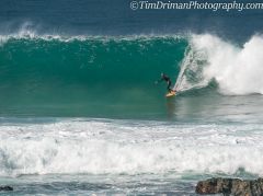 Surfing (7)