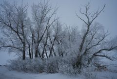 Winterland