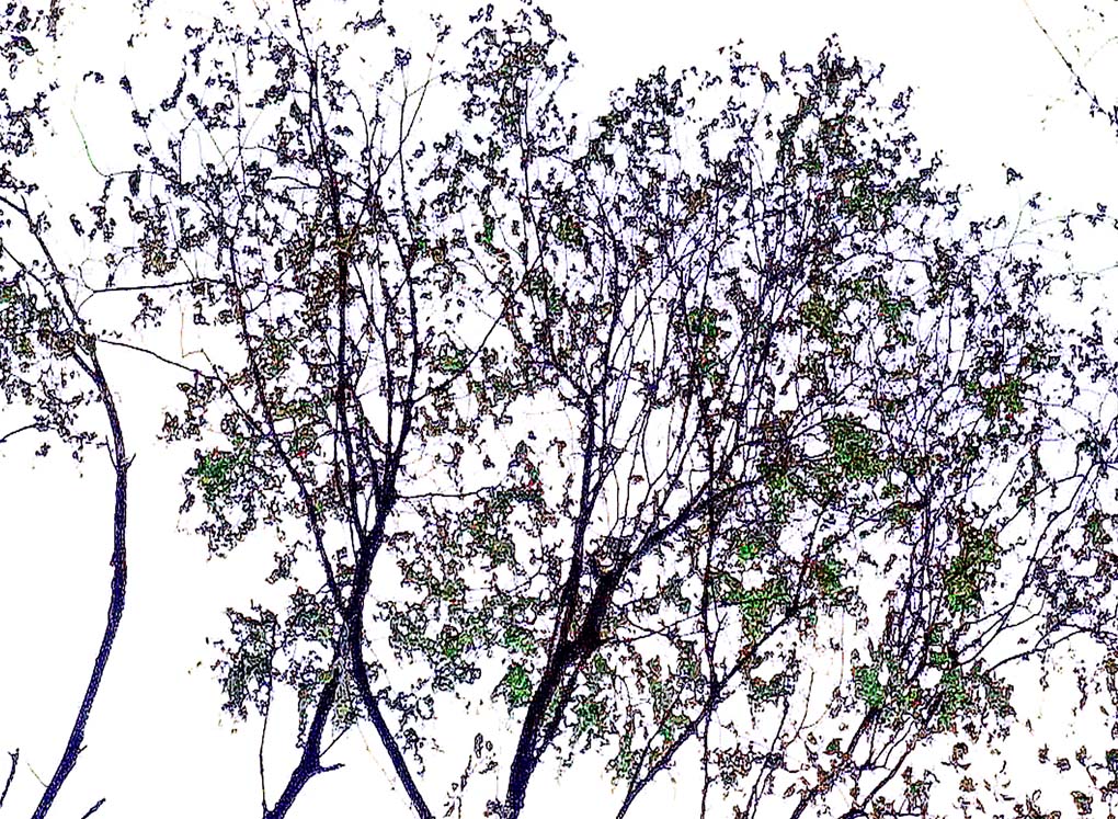 extreme color aberration