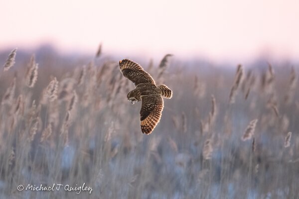 _DSC7868-Edit.jpeg
