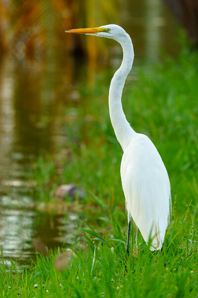 _A922057-arw_DxO_DeepPRIME.jpg