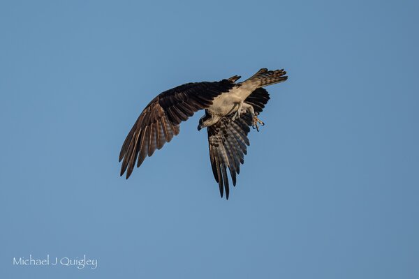 _DSC2535-Edit.jpeg