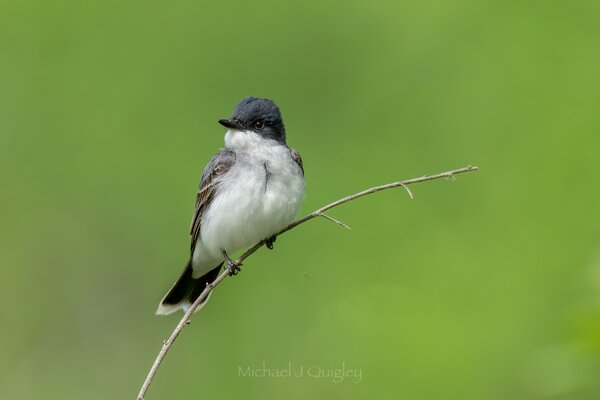 _DSC6224-Edit.jpeg