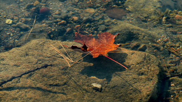 DSC00268.JPG