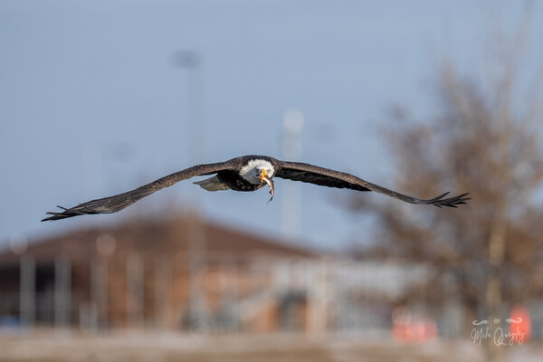 DSC05680-Edit.jpg