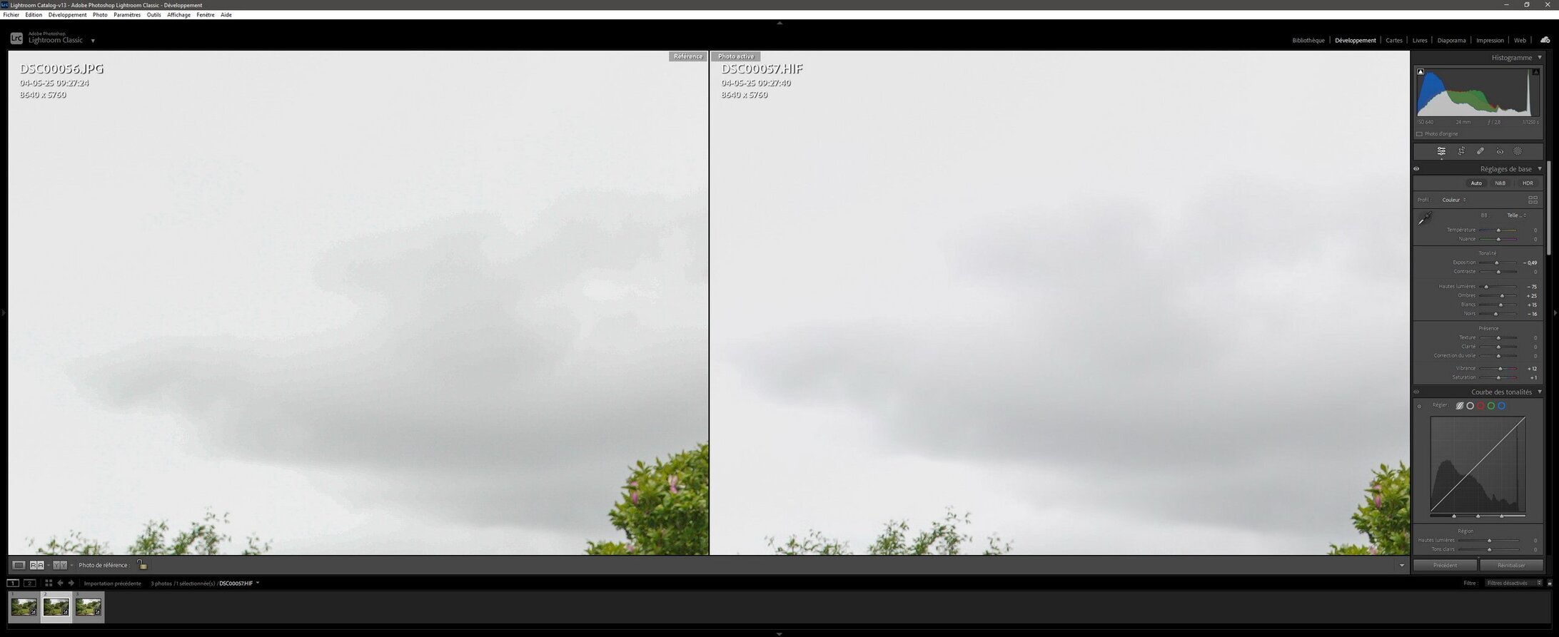 compar_Jpeg_8bits(G) vs Heif_420_10bits(D) @200%_resize.jpg