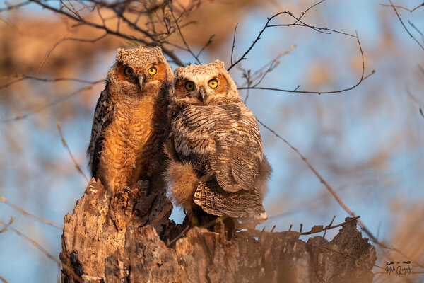 DSC00201-Edit-Edit.jpg